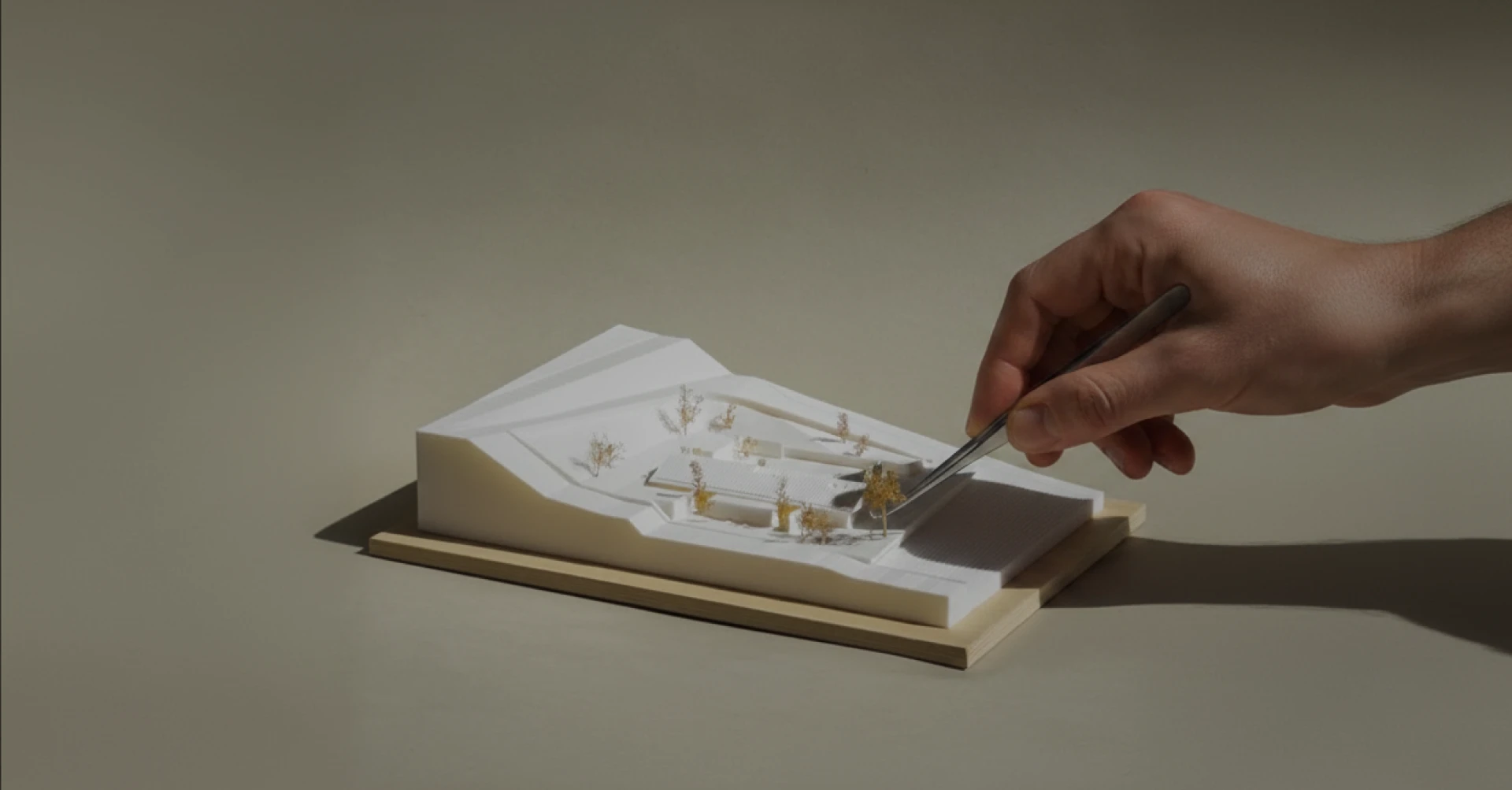 Process