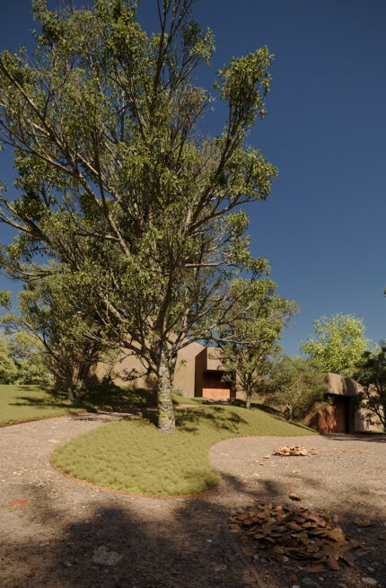 Outeiro House, Paredes: render of a large tree in the garden, with the earth-toned house partly hidden behind the foliage