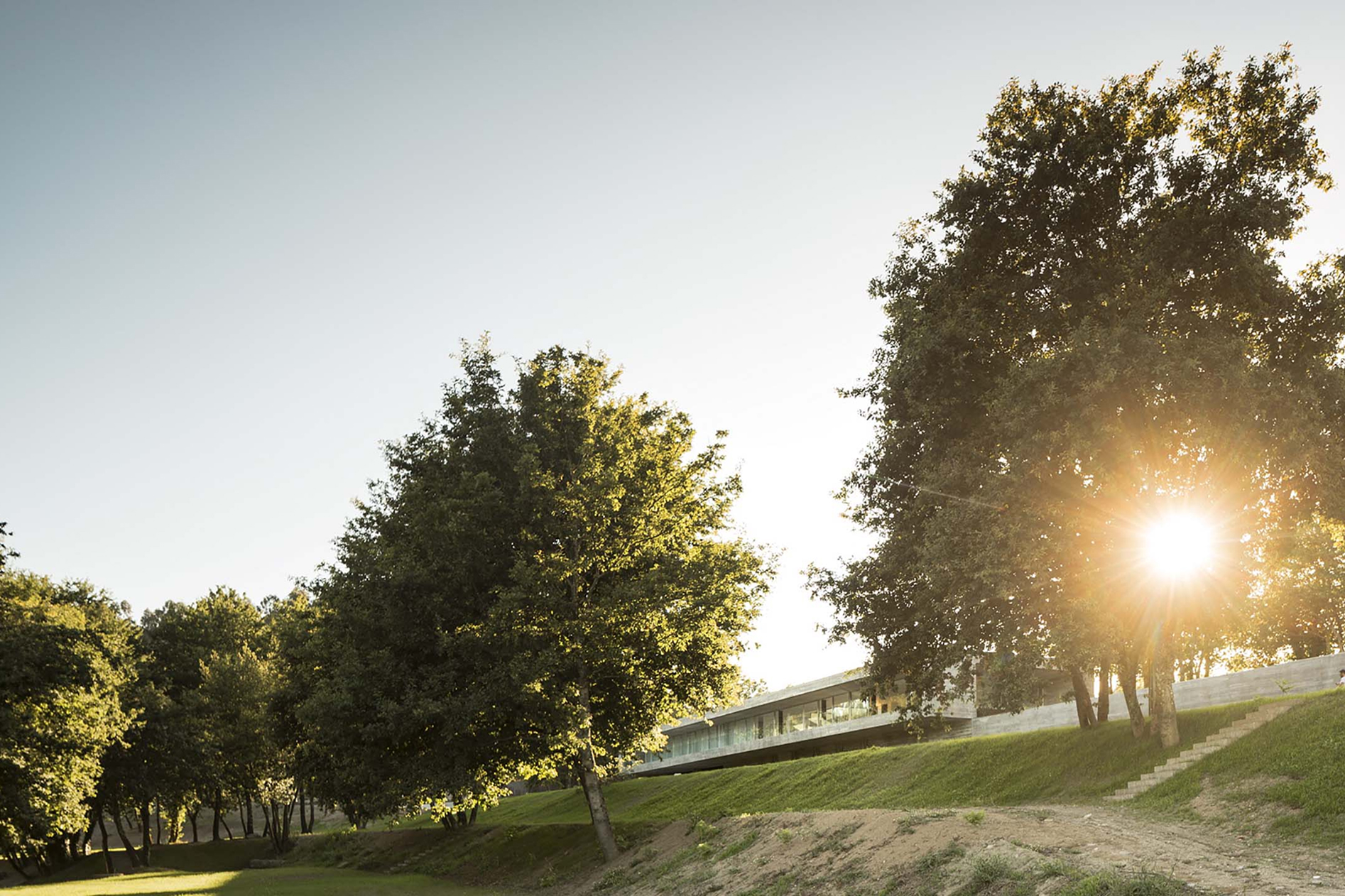 Sambade House, Penafiel: sun shining through trees on a grassy slope, the long low house visible at the foot of the hill