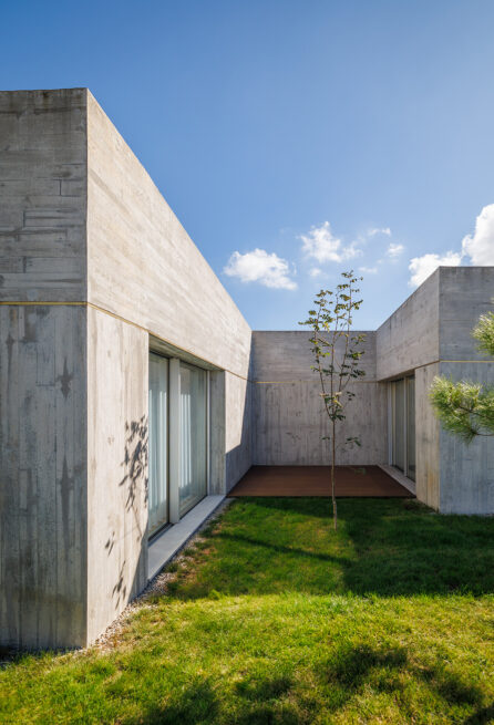 FS House, Paços de Ferreira: grassed outdoor room enclosed by concrete walls, a young tree planted at its centre